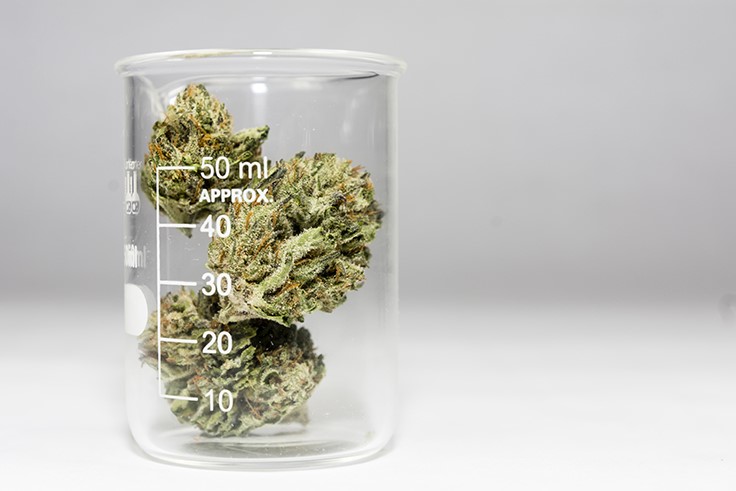 photo of Washington Regulators Seek Cannabis Industry’s Input on Testing Regulations image