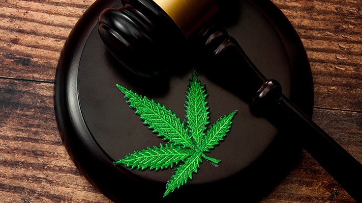 Civil RICO Lawsuits: Should The State-Legal Cannabis Industry Be Concerned?