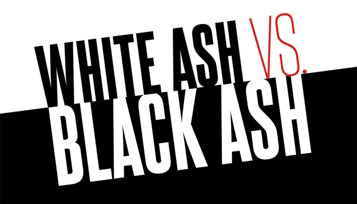 White Ash Vs Black Ash Cannabis Business Times