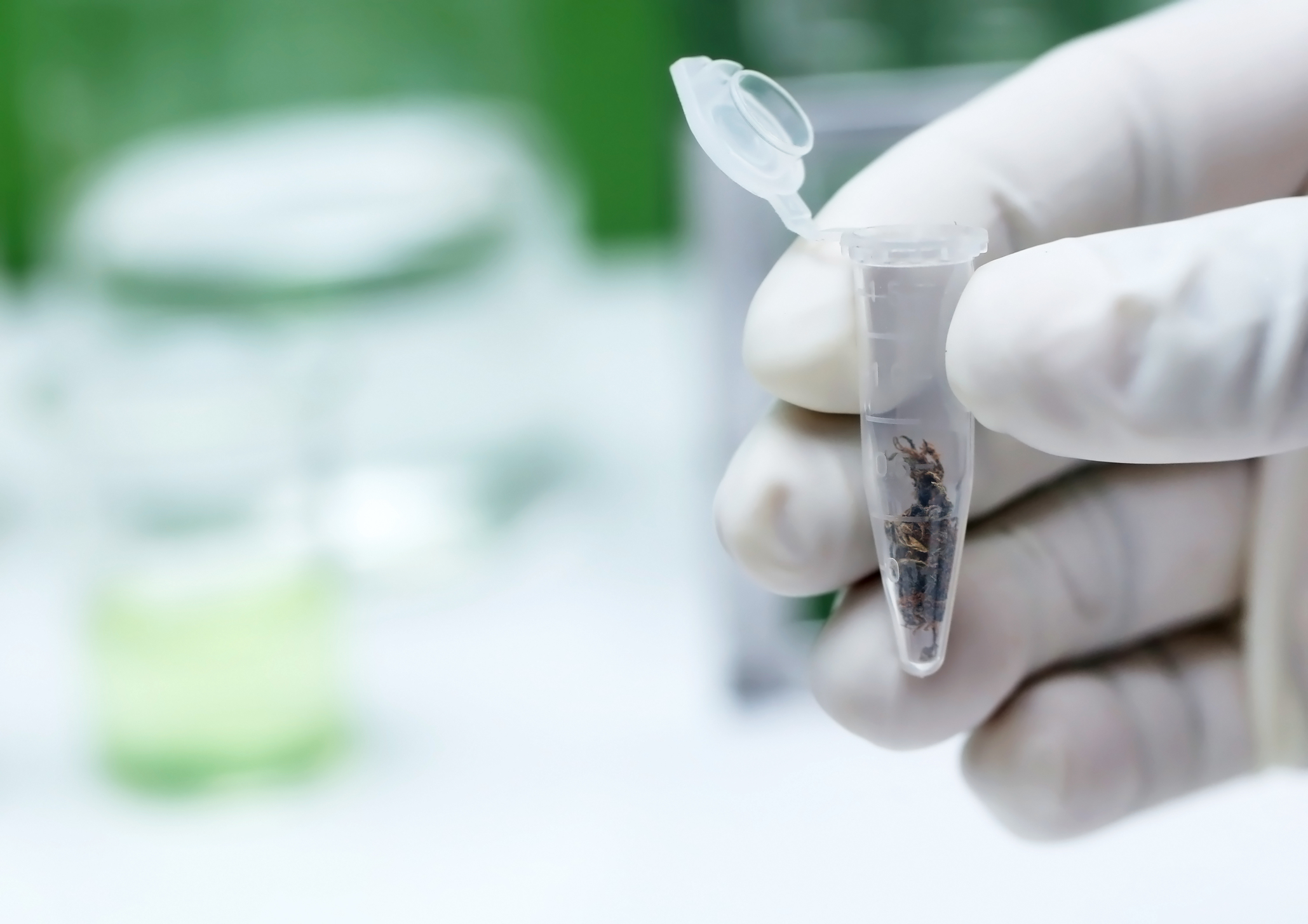 Oregon Marijuana Testing Lab Accreditation Program on ‘Precipice of Collapse’
