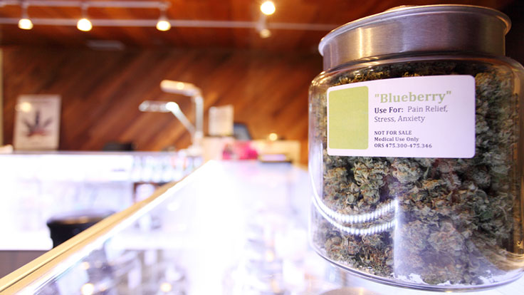 Dispensaries, Lounges, Delivery Services Can Apply for Licenses in West Hollywood Starting in January