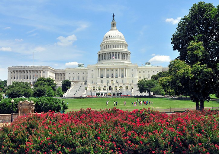 Congress Passes Spending Bill, Extends Rohrabacher-Blumenauer Amendment Until Feb. 8