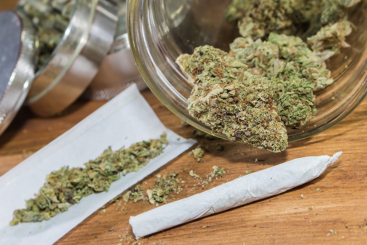 Nearly Half of New Jerseyans Want Legal Recreational Marijuana, New Poll Finds