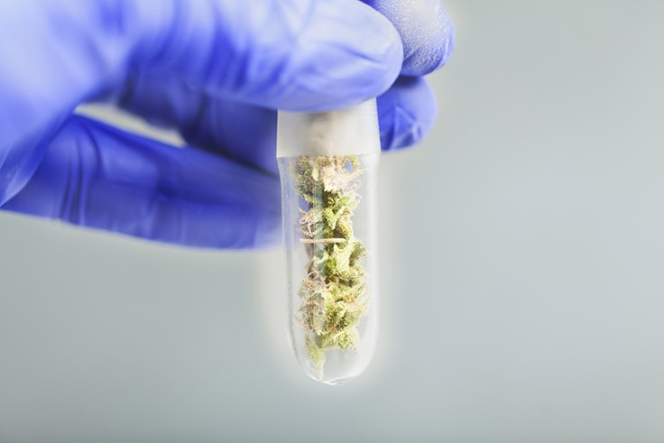 Congress Prepares to Vote on Cannabis Research, Treatment for Veterans