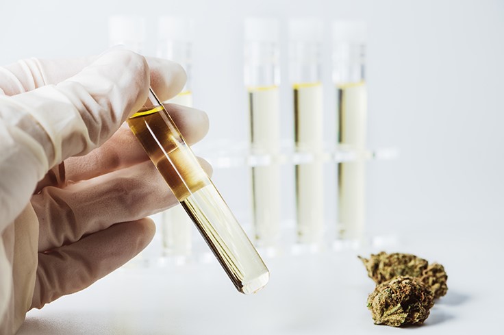 5 Things Cultivators Should Know About Cannabis Potency Testing