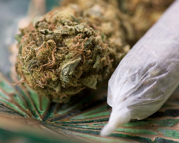 Slow Rollout Predicted for Recreational Marijuana Industry in Massachusetts