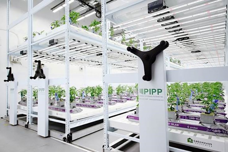 Pipp Horticulture Acquires Greenhaus Industries