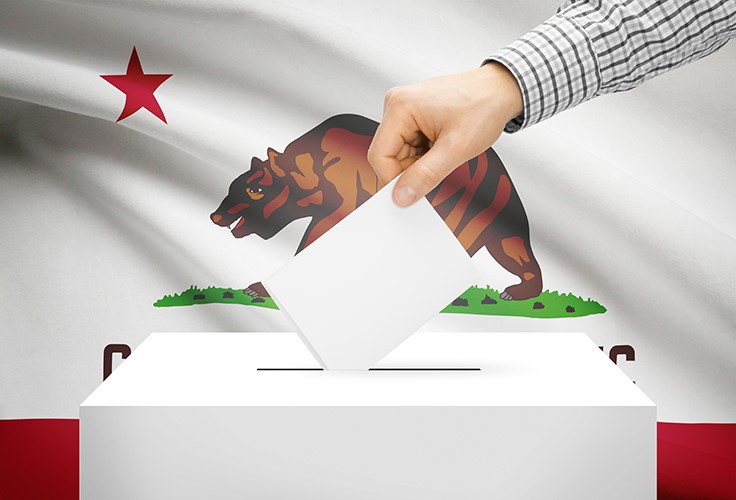 California Primaries Advance Key Cannabis Candidates and Tax Measures