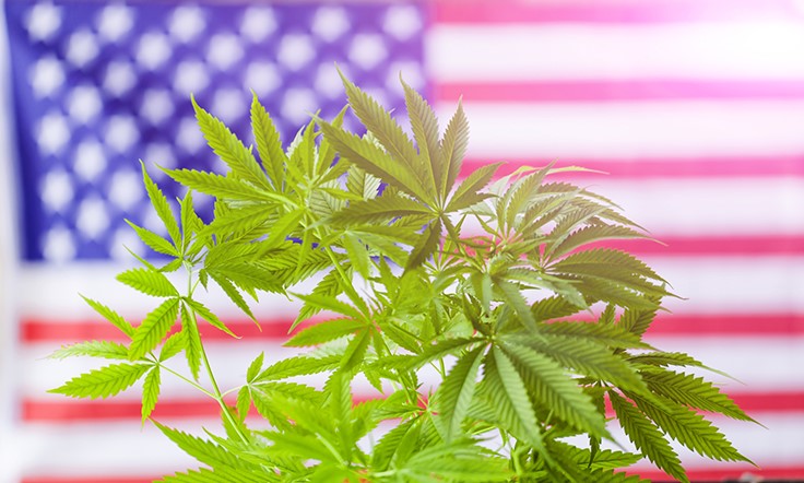 Senate Committee Passes Medical Marijuana Protections, Marijuana Justice Act Picks Up Support, Attorney General Jeff Sessions Stays Committed to Federal Cannabis Laws: Week In Review