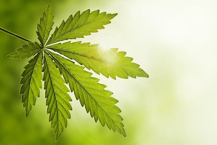 Medicinal Cannabis Use Can Help Mitigate Symptoms of PTSD, Study Says