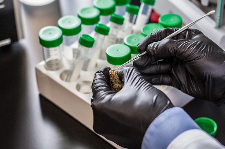 California Prepares to Roll Out Additional Cannabis Testing Regulations July 1