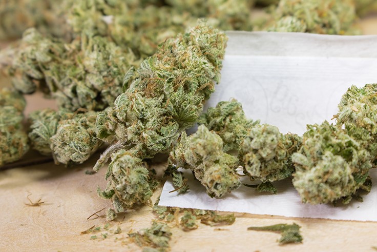 Petition Effort to Legalize Recreational Use of Marijuana in Arizona Fails