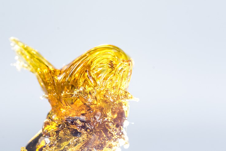 Your Guide to Cannabis Extracts and Concentrates: Part I