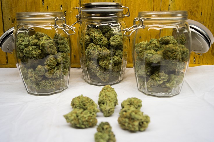 Sarasota County, Fla., Considers Banning Sale of Recreational Marijuana - Cannabis Business Times
