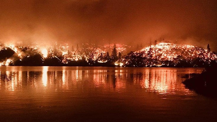 Can Wildfires Impact Cannabis Quality and Test Results?