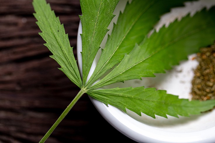 FDA Seeks Comments on Marijuana’s Classification Under Global Drug Treaties