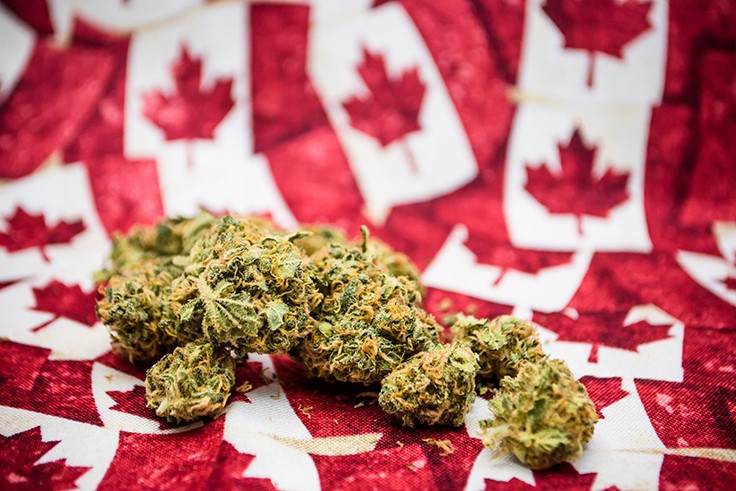 No More Marijuana? Canadian Cannabis 'Craze' Creates Shortages Days After Sales Begin