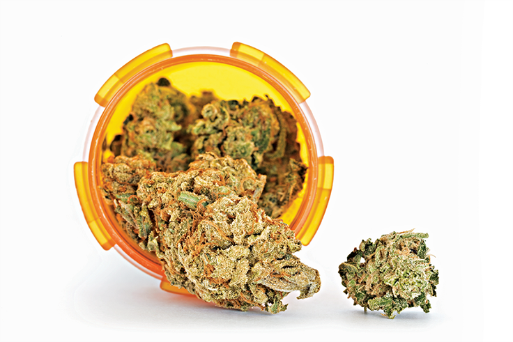 Kentucky Lawmakers Announce Details on Medical Marijuana Bill