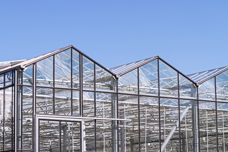 How to Design a Greenhouse for Your Climate: A Q&A with Nadia Sabeh