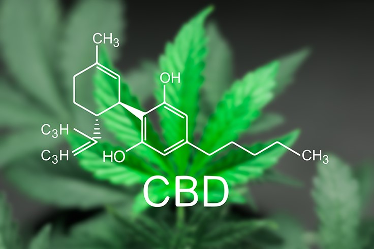 CBD Market Could Pull in $16 Billion by 2025, Says Study
