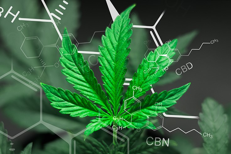 CVS and Walgreens Plan to Carry CBD Products: What’s Next for the Rapidly Growing Market?
