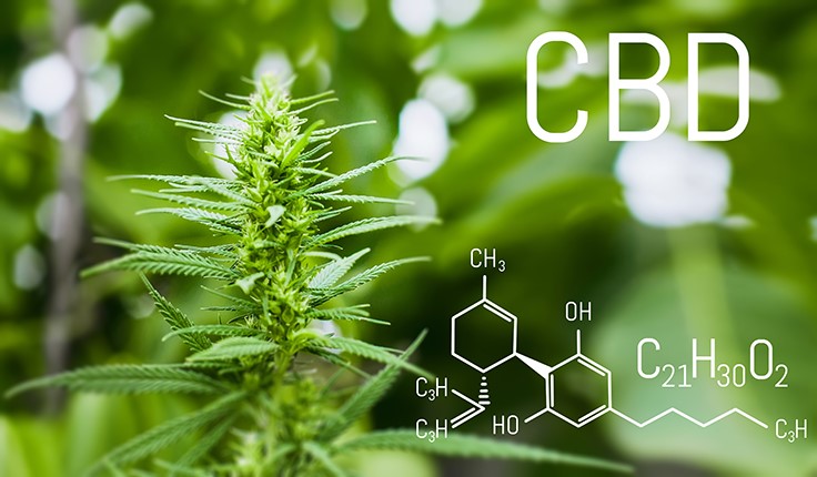 FDA Holds First-Ever Public Hearing on CBD
