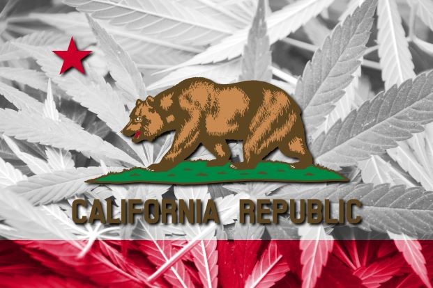Cannabis Sales in California to Reach $7.2 Billion by 2024