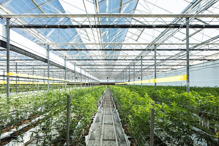 How a Real Estate Company Came to Own Three Cannabis Cultivation Facilities in Illinois