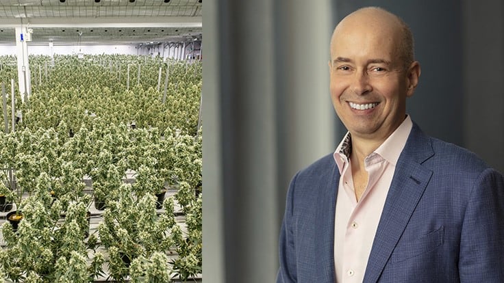 Canopy Growth Announces David Klein as New Chief Executive Officer