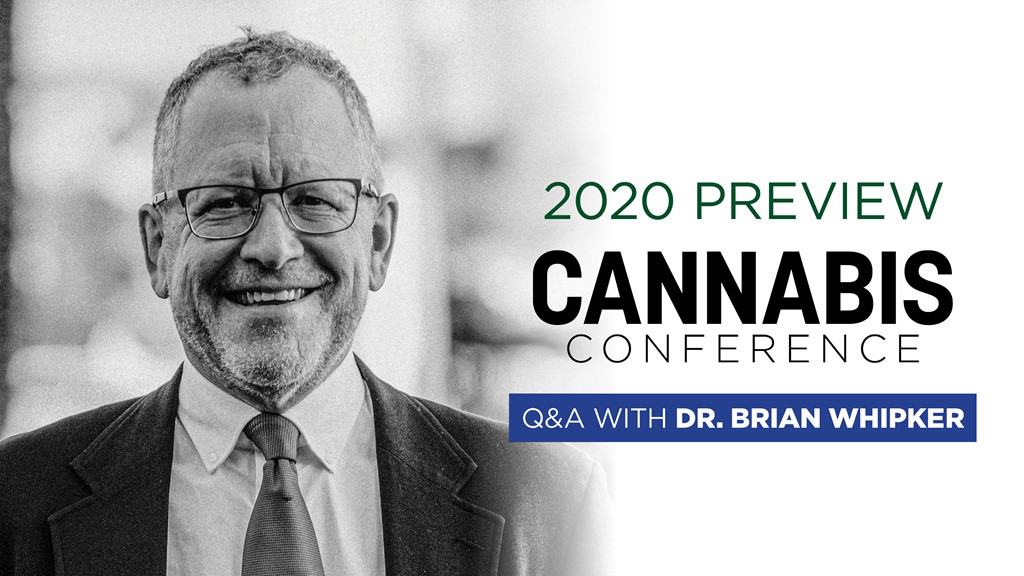 Identifying and Diagnosing Common Cannabis Disorders: Q&A with Dr. Brian Whipker