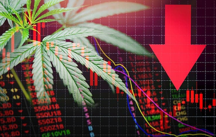 Did Market Saturation and Overspending Cause 2019 Cannabis Market Slump?