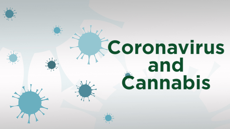 Coronavirus Puts Pressure on the Cannabis Supply Chain