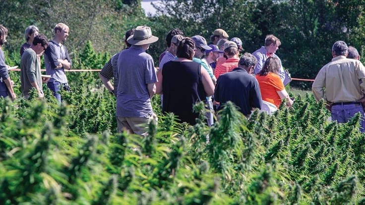 The Hemp Mine Builds on Partnerships, Offers Discounted Testing Services