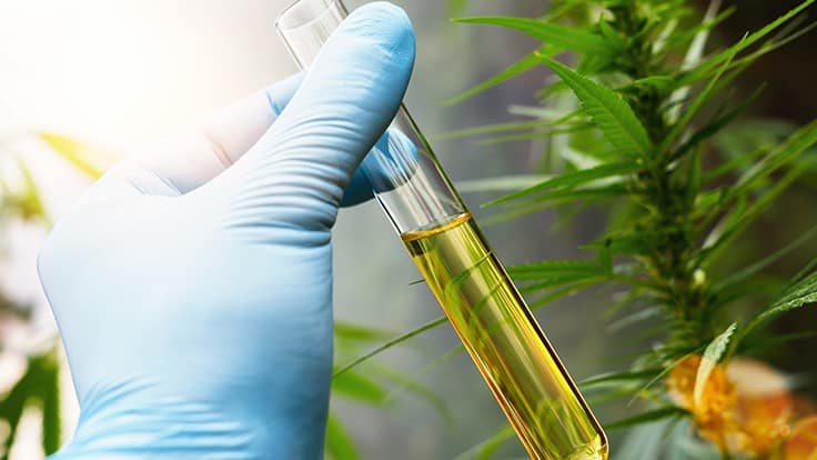 Anticipated FDA Document Does Little to Clarify Consumer CBD Product Regulations