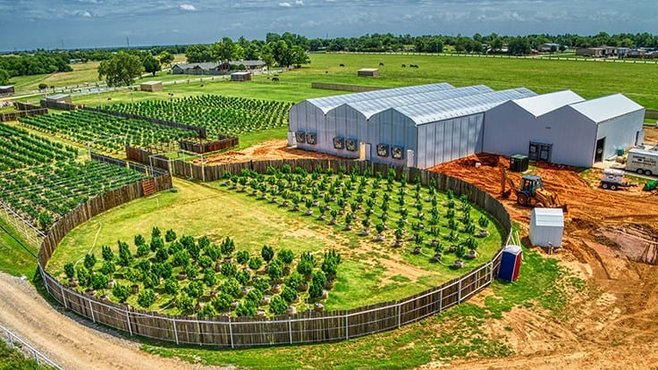 Why You Shouldn’t Cut Corners on Your Cultivation Facility Construction Budget