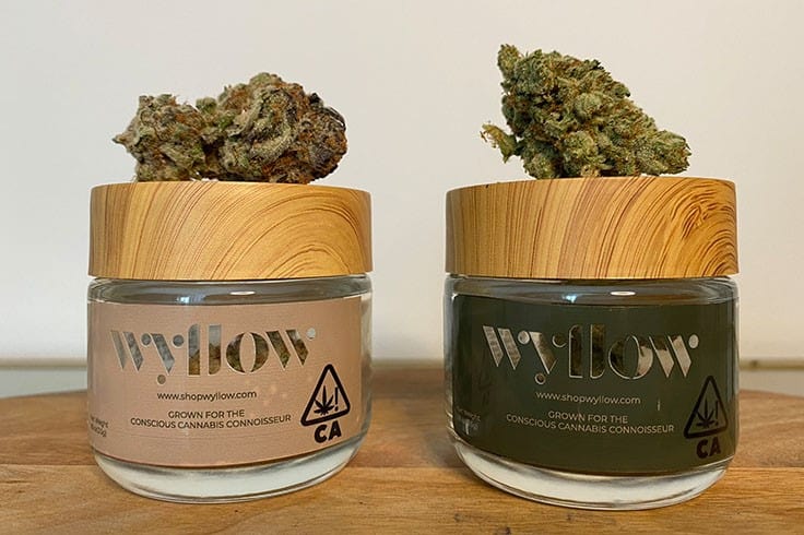Wyllow Launches Premium Flower Brand Based on Inclusivity and Affordability