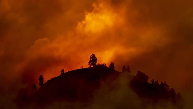 Wildfires Tear Across Western U.S. as Cannabis Growers Prepare and Respond: Week in Review