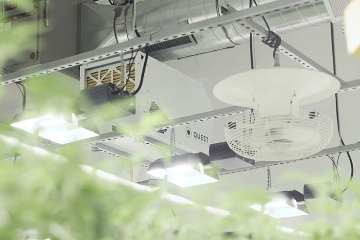 How to Ensure Proper Airflow at Your Indoor Cannabis Cultivation Facility
