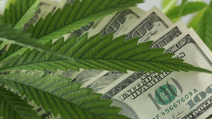 Intrinsic Capital Partners Raises $102M for Cannabis and Hemp-Related Investment