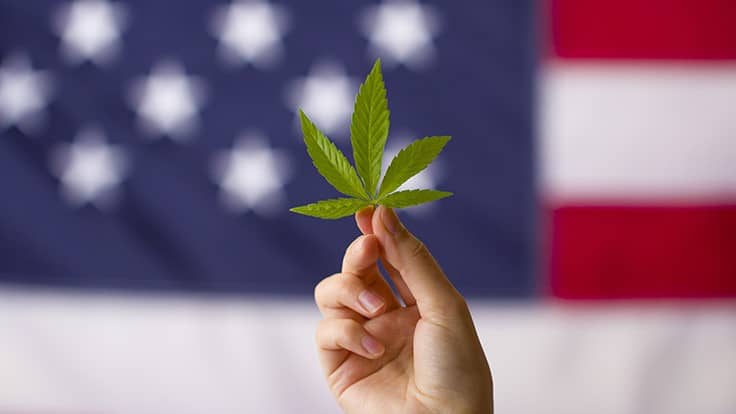 Election 2020: Cannabis Down-Ballot Race Results