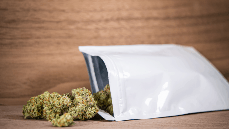 Michigan’s Adult-Use Cannabis Sales Increased Significantly in 2020