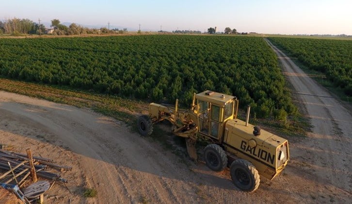 Santa Fe Farms Acquires High Grade Hemp Seed to Further Develop Its ‘Hemp Ecosystem Growth Plan’