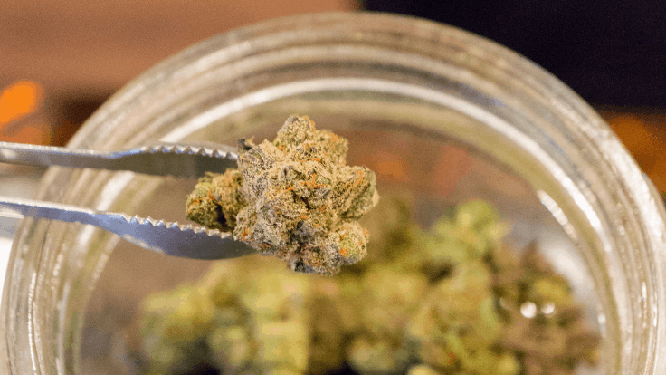 6 Ways to Increase Sales at Your Dispensary