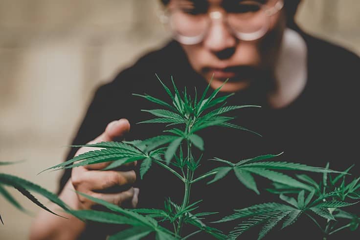 Higher Education Picks Up Some Cannabis Momentum: Week in Review