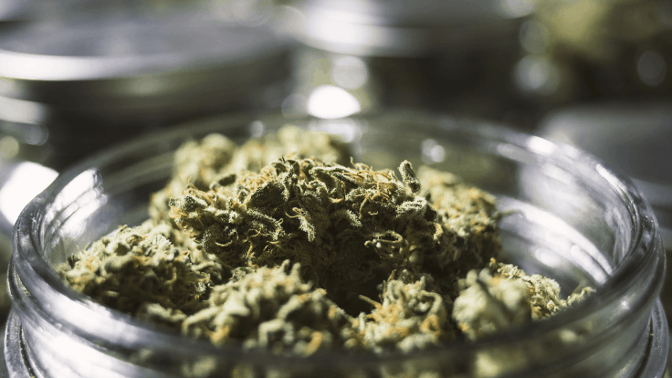 UPDATE: Louisiana Gov Signs Smokable Medical Cannabis Bill