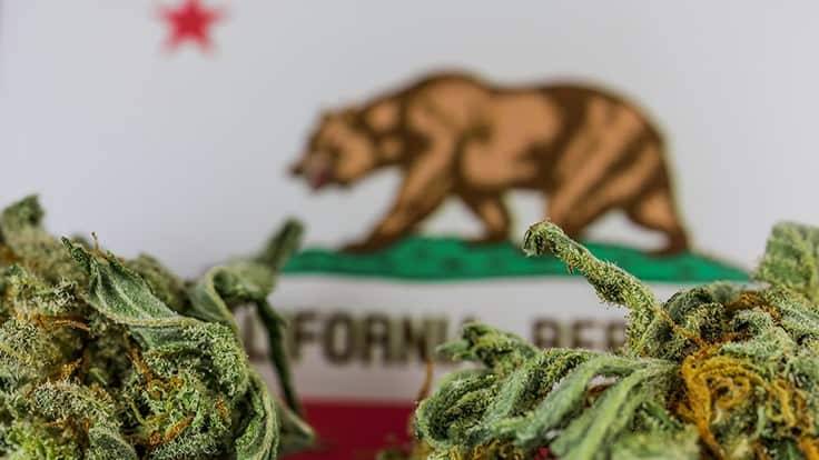 California Stakeholders Weigh in on Legislature’s $100-Million Cannabis Plan