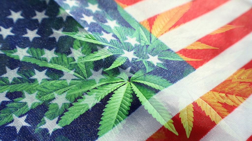 Industry Experts, Stakeholders Offer Their Takes on Cannabis Administration and Opportunity Act