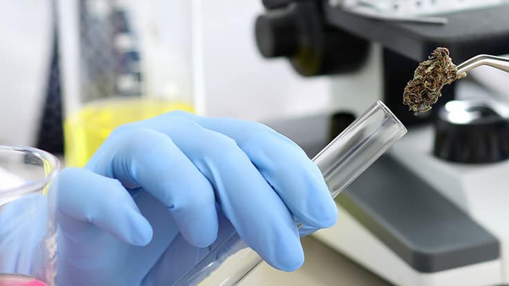Colorado Certifies Second Hemp Compliance Testing Lab; New Pesticide List Awaits Implementation 