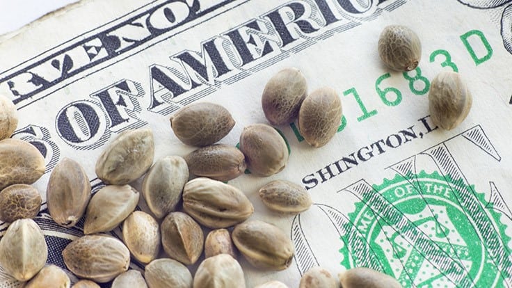What the SAFE Banking Act Means for Hemp