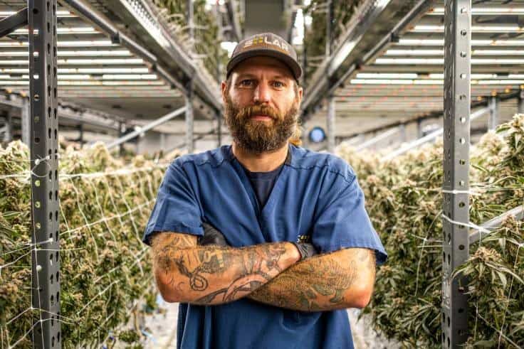 How the Solar Cannabis Company Surpassed Its Energy Goals Using LED Lighting